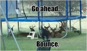 Go ahead... Bounce Picture Quote #1