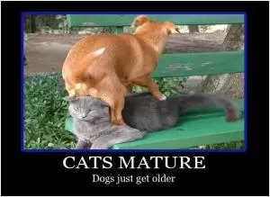 Cats mature. Dogs just get older Picture Quote #1