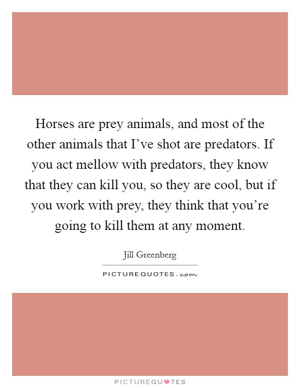 Horses are prey animals, and most of the other animals that I've shot are predators. If you act mellow with predators, they know that they can kill you, so they are cool, but if you work with prey, they think that you're going to kill them at any moment Picture Quote #1