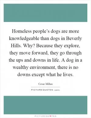Homeless people’s dogs are more knowledgeable than dogs in Beverly Hills. Why? Because they explore, they move forward, they go through the ups and downs in life. A dog in a wealthy environment, there is no downs except what he lives Picture Quote #1