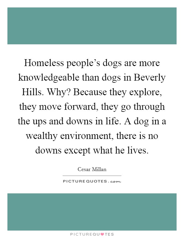 Homeless people's dogs are more knowledgeable than dogs in Beverly Hills. Why? Because they explore, they move forward, they go through the ups and downs in life. A dog in a wealthy environment, there is no downs except what he lives Picture Quote #1