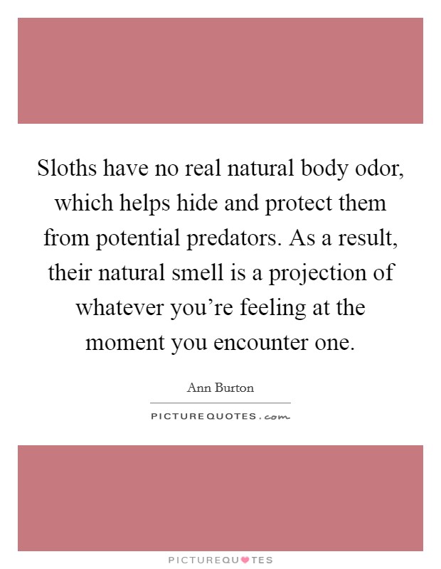 Sloths have no real natural body odor, which helps hide and protect them from potential predators. As a result, their natural smell is a projection of whatever you're feeling at the moment you encounter one Picture Quote #1