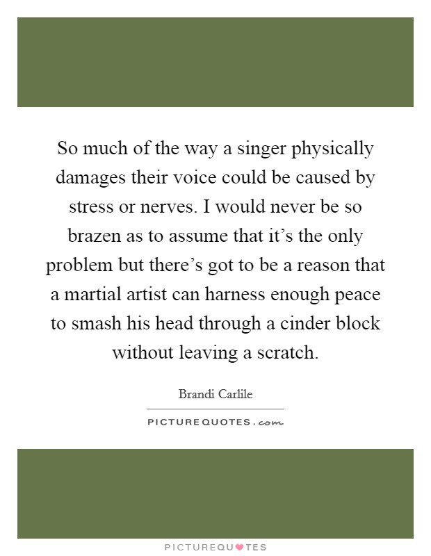 So much of the way a singer physically damages their voice could be caused by stress or nerves. I would never be so brazen as to assume that it's the only problem but there's got to be a reason that a martial artist can harness enough peace to smash his head through a cinder block without leaving a scratch Picture Quote #1