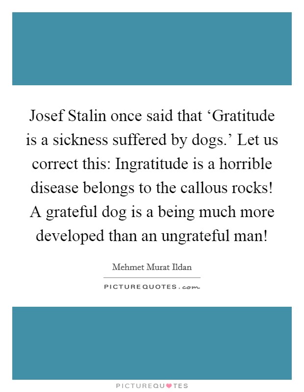 Josef Stalin once said that ‘Gratitude is a sickness suffered by dogs.' Let us correct this: Ingratitude is a horrible disease belongs to the callous rocks! A grateful dog is a being much more developed than an ungrateful man! Picture Quote #1