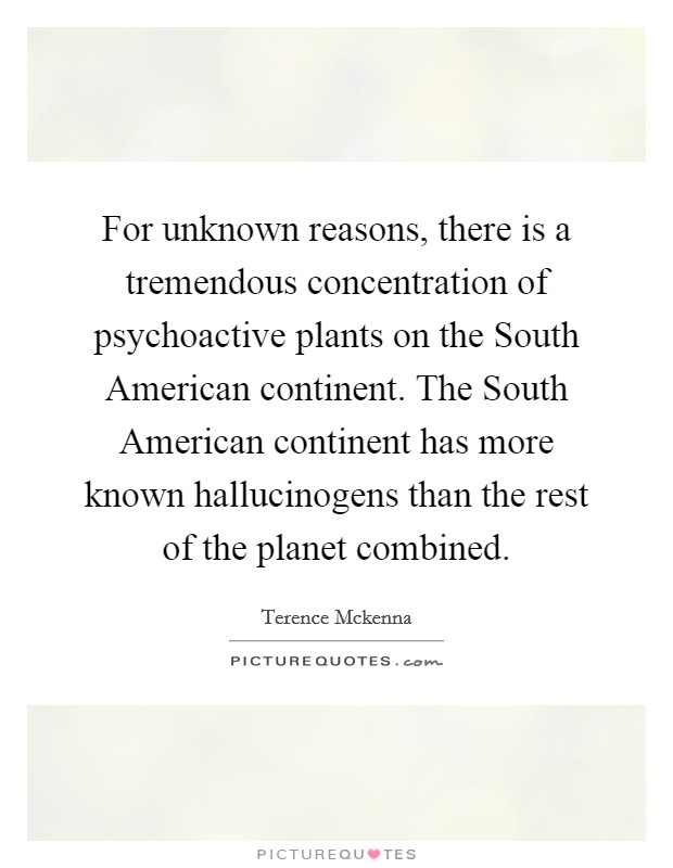 For unknown reasons, there is a tremendous concentration of psychoactive plants on the South American continent. The South American continent has more known hallucinogens than the rest of the planet combined Picture Quote #1
