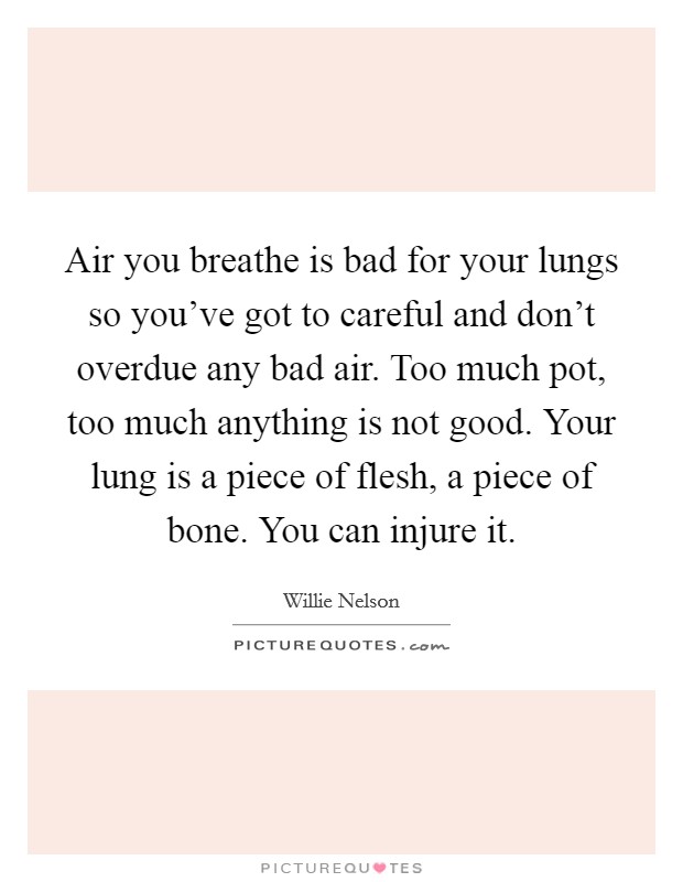 Air you breathe is bad for your lungs so you've got to careful and don't overdue any bad air. Too much pot, too much anything is not good. Your lung is a piece of flesh, a piece of bone. You can injure it Picture Quote #1
