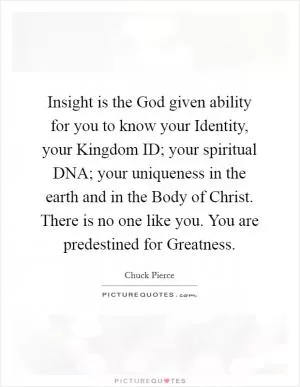 Insight is the God given ability for you to know your Identity, your Kingdom ID; your spiritual DNA; your uniqueness in the earth and in the Body of Christ. There is no one like you. You are predestined for Greatness Picture Quote #1