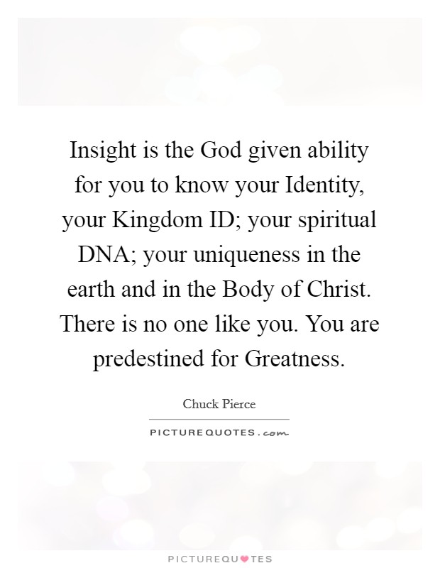 Insight is the God given ability for you to know your Identity, your Kingdom ID; your spiritual DNA; your uniqueness in the earth and in the Body of Christ. There is no one like you. You are predestined for Greatness Picture Quote #1