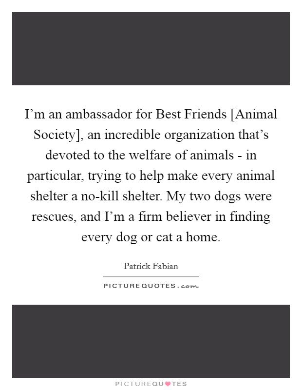 I'm an ambassador for Best Friends [Animal Society], an incredible organization that's devoted to the welfare of animals - in particular, trying to help make every animal shelter a no-kill shelter. My two dogs were rescues, and I'm a firm believer in finding every dog or cat a home Picture Quote #1