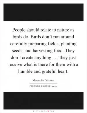 People should relate to nature as birds do. Birds don’t run around carefully preparing fields, planting seeds, and harvesting food. They don’t create anything . . . they just receive what is there for them with a humble and grateful heart Picture Quote #1
