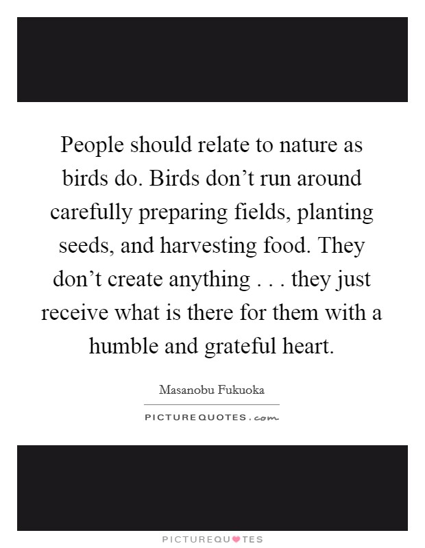 People should relate to nature as birds do. Birds don't run around carefully preparing fields, planting seeds, and harvesting food. They don't create anything . . . they just receive what is there for them with a humble and grateful heart Picture Quote #1
