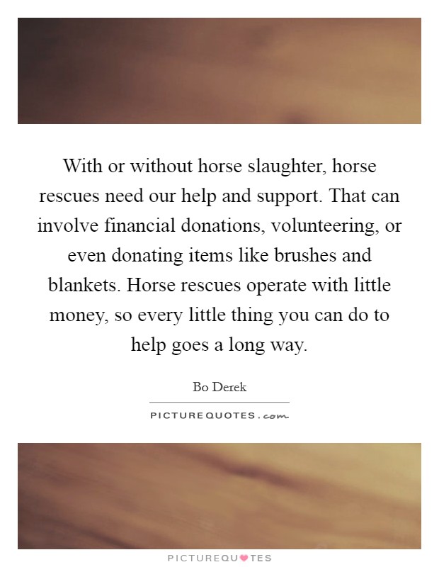 With or without horse slaughter, horse rescues need our help and support. That can involve financial donations, volunteering, or even donating items like brushes and blankets. Horse rescues operate with little money, so every little thing you can do to help goes a long way Picture Quote #1