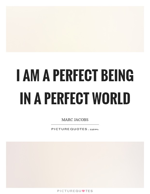 I am a perfect being in a perfect world Picture Quote #1