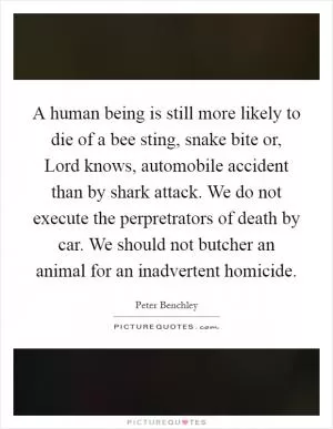 A human being is still more likely to die of a bee sting, snake bite or, Lord knows, automobile accident than by shark attack. We do not execute the perpretrators of death by car. We should not butcher an animal for an inadvertent homicide Picture Quote #1