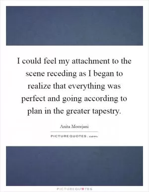 I could feel my attachment to the scene receding as I began to realize that everything was perfect and going according to plan in the greater tapestry Picture Quote #1