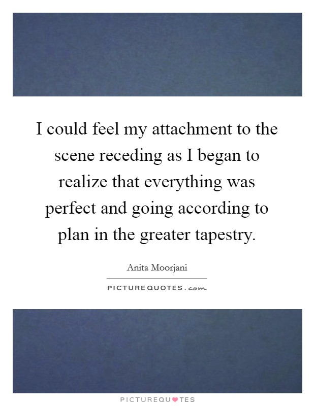 I could feel my attachment to the scene receding as I began to realize that everything was perfect and going according to plan in the greater tapestry Picture Quote #1