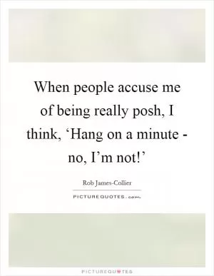 When people accuse me of being really posh, I think, ‘Hang on a minute - no, I’m not!’ Picture Quote #1