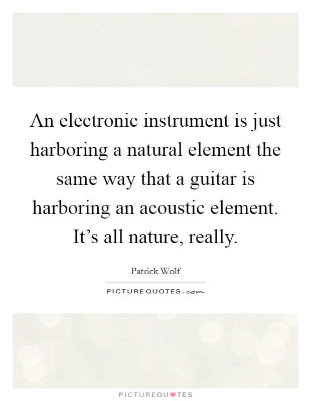 An electronic instrument is just harboring a natural element the same way that a guitar is harboring an acoustic element. It’s all nature, really Picture Quote #1