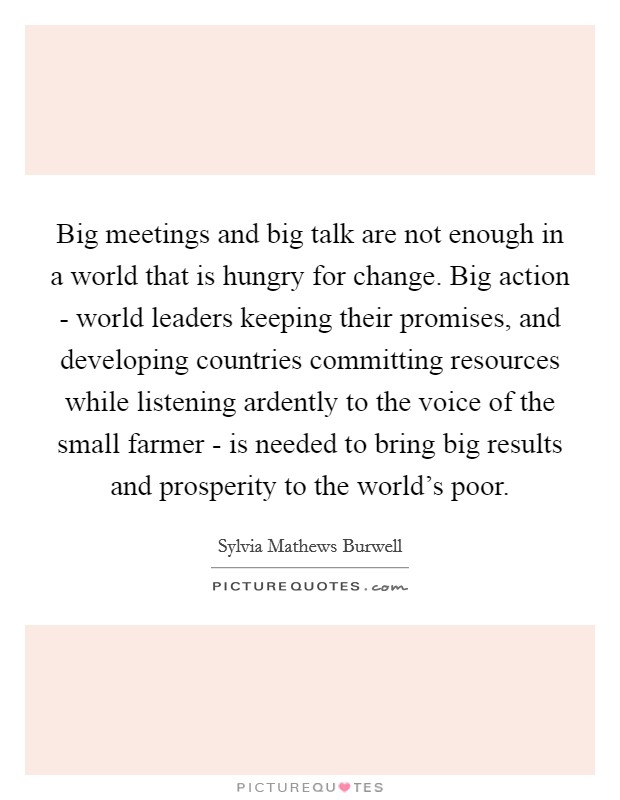 Big meetings and big talk are not enough in a world that is hungry for change. Big action - world leaders keeping their promises, and developing countries committing resources while listening ardently to the voice of the small farmer - is needed to bring big results and prosperity to the world's poor Picture Quote #1
