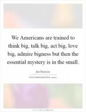 We Americans are trained to think big, talk big, act big, love big, admire bigness but then the essential mystery is in the small Picture Quote #1