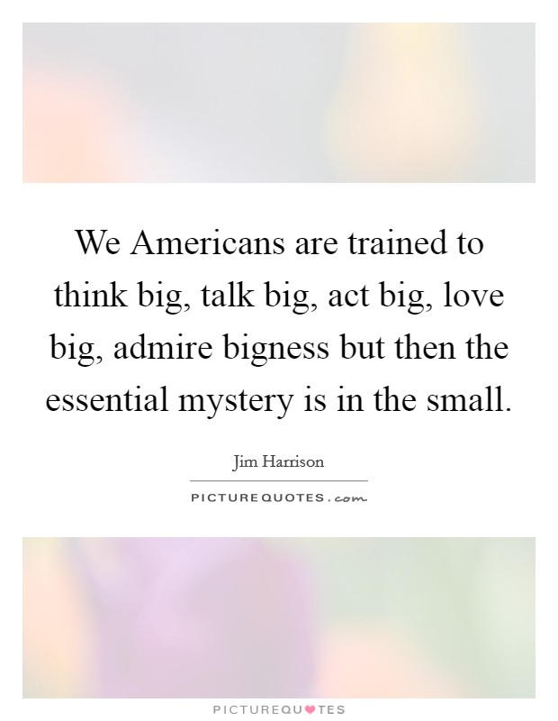 We Americans are trained to think big, talk big, act big, love big, admire bigness but then the essential mystery is in the small. Picture Quote #1