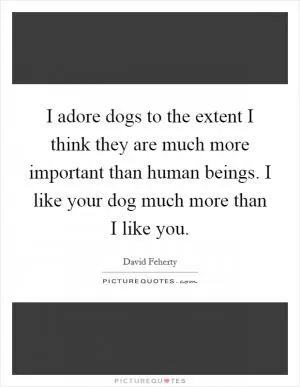 I adore dogs to the extent I think they are much more important than human beings. I like your dog much more than I like you Picture Quote #1