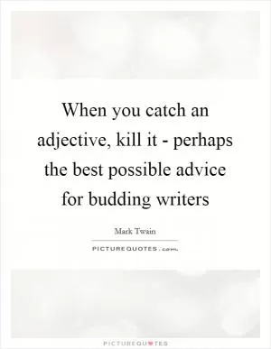 When you catch an adjective, kill it - perhaps the best possible advice for budding writers Picture Quote #1