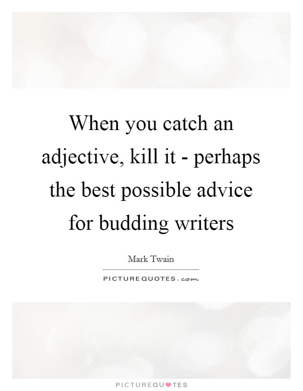 When you catch an adjective, kill it - perhaps the best possible advice for budding writers Picture Quote #1