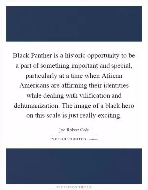 Black Panther is a historic opportunity to be a part of something important and special, particularly at a time when African Americans are affirming their identities while dealing with vilification and dehumanization. The image of a black hero on this scale is just really exciting Picture Quote #1