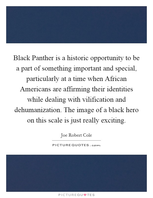 Black Panther is a historic opportunity to be a part of something important and special, particularly at a time when African Americans are affirming their identities while dealing with vilification and dehumanization. The image of a black hero on this scale is just really exciting. Picture Quote #1