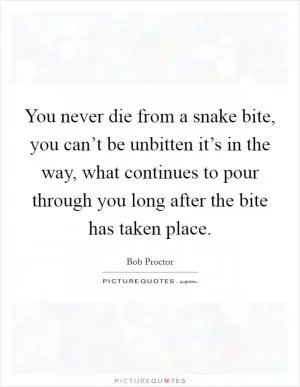 You never die from a snake bite, you can’t be unbitten it’s in the way, what continues to pour through you long after the bite has taken place Picture Quote #1