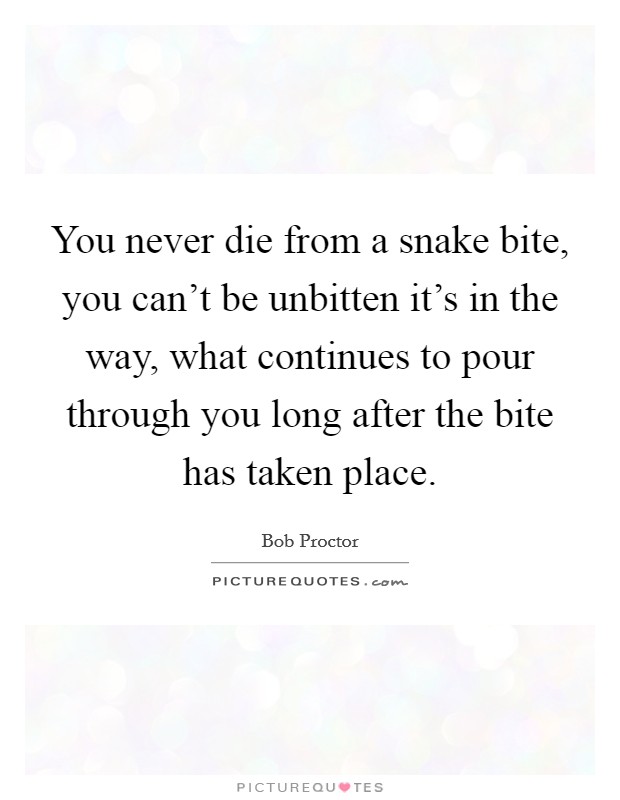You never die from a snake bite, you can't be unbitten it's in the way, what continues to pour through you long after the bite has taken place. Picture Quote #1
