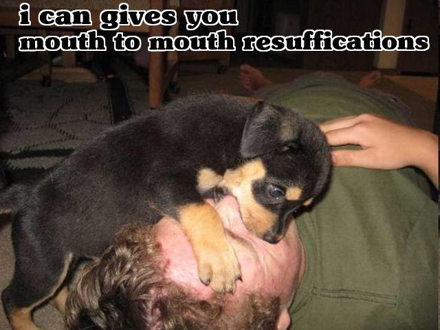 I can give you mouth to mouth resuffications Picture Quote #1