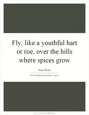 Fly, like a youthful hart or roe, over the hills where spices grow Picture Quote #1