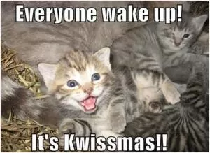 Everyone wake up! It’s Kwissmas!! Picture Quote #1