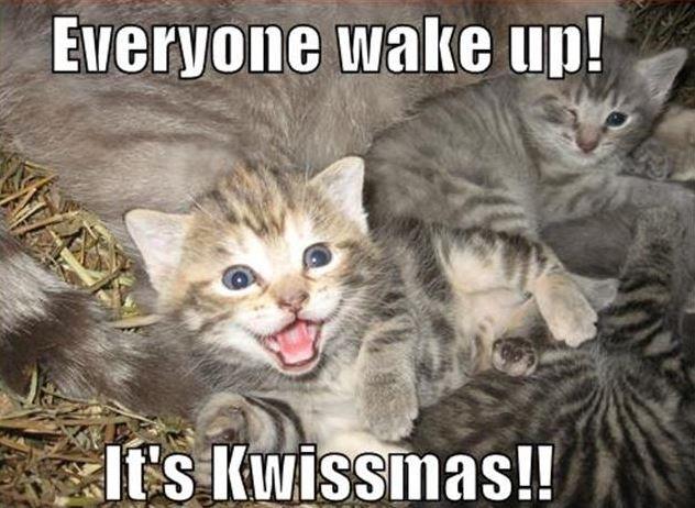 Everyone wake up! It's Kwissmas!! Picture Quote #1