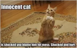 Innocent cat is shocked you blame him for the mess. Shocked and hurt Picture Quote #1