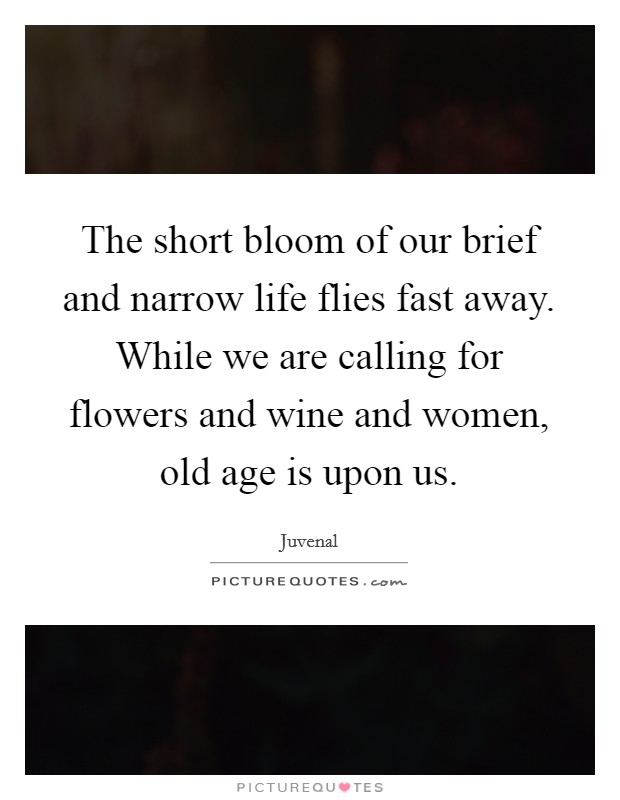 The short bloom of our brief and narrow life flies fast away. While we are calling for flowers and wine and women, old age is upon us. Picture Quote #1