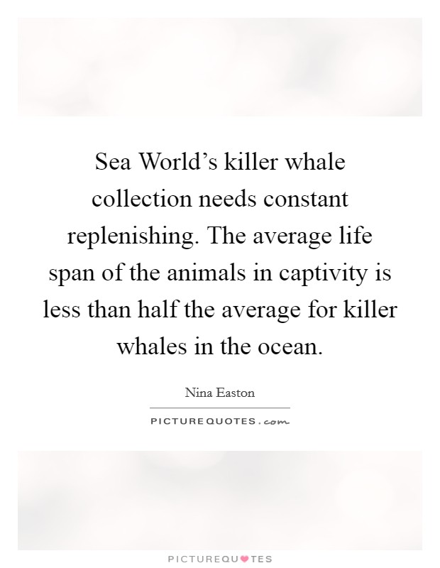 Sea World's killer whale collection needs constant replenishing. The average life span of the animals in captivity is less than half the average for killer whales in the ocean. Picture Quote #1