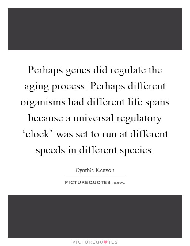 Perhaps genes did regulate the aging process. Perhaps different organisms had different life spans because a universal regulatory ‘clock’ was set to run at different speeds in different species Picture Quote #1
