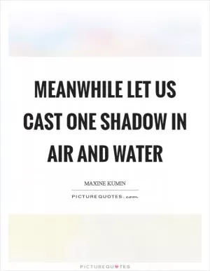 Meanwhile let us cast one shadow in air and water Picture Quote #1