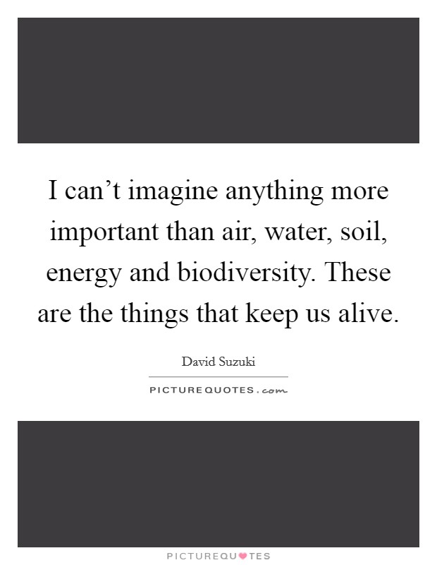 I can't imagine anything more important than air, water, soil, energy and biodiversity. These are the things that keep us alive. Picture Quote #1