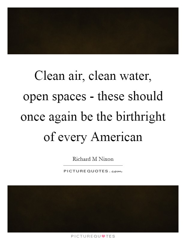 Clean air, clean water, open spaces - these should once again be the birthright of every American Picture Quote #1