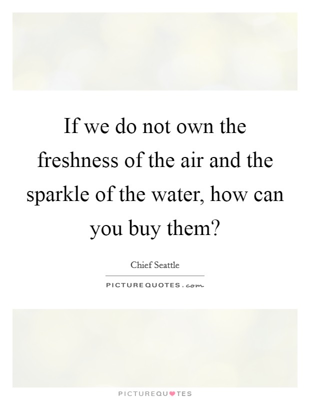 If we do not own the freshness of the air and the sparkle of the water, how can you buy them? Picture Quote #1