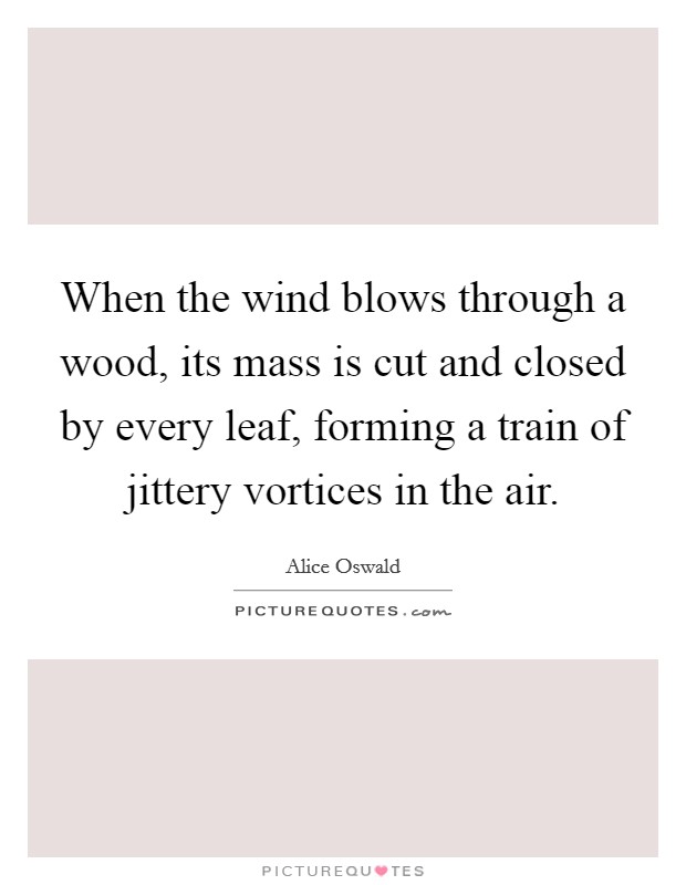 When the wind blows through a wood, its mass is cut and closed by every leaf, forming a train of jittery vortices in the air. Picture Quote #1