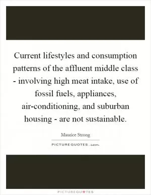 Current lifestyles and consumption patterns of the affluent middle class - involving high meat intake, use of fossil fuels, appliances, air-conditioning, and suburban housing - are not sustainable Picture Quote #1