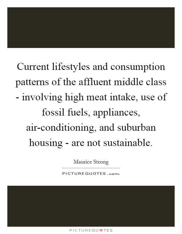 Current lifestyles and consumption patterns of the affluent middle class - involving high meat intake, use of fossil fuels, appliances, air-conditioning, and suburban housing - are not sustainable. Picture Quote #1