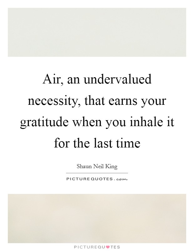 Air, an undervalued necessity, that earns your gratitude when you inhale it for the last time Picture Quote #1