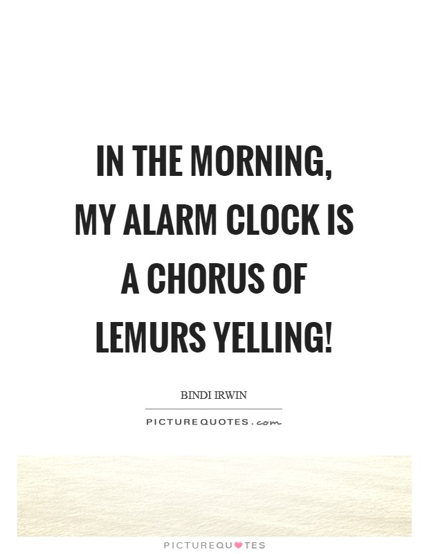 In the morning, my alarm clock is a chorus of lemurs yelling! Picture Quote #1