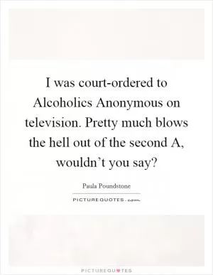 I was court-ordered to Alcoholics Anonymous on television. Pretty much blows the hell out of the second A, wouldn’t you say? Picture Quote #1